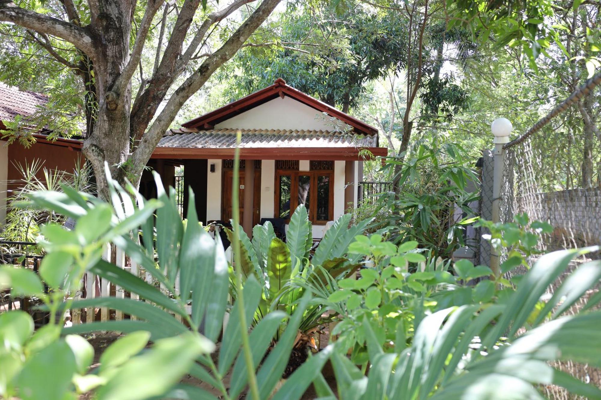 Max Safari Villa Udawalawe Bagian luar foto